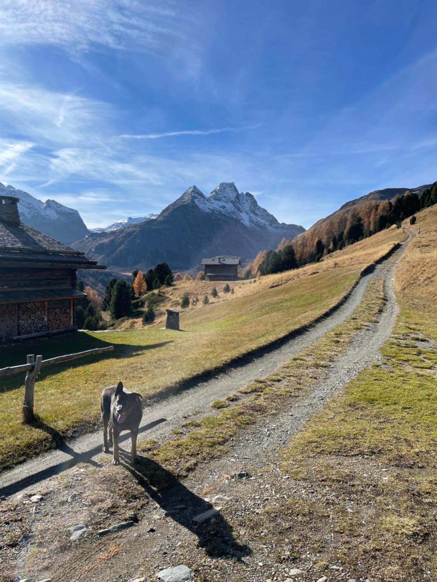 Residence S Lucia - Appartamenti Alle Porte Di Bormio Valdisotto Bagian luar foto